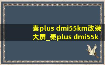 秦plus dmi55km改装大屏_秦plus dmi55km改快充